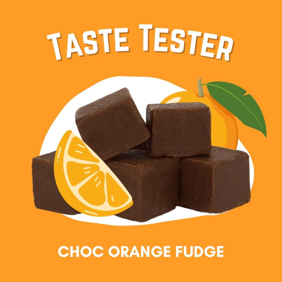 Choc Orange Fudge Taste Tester 100g